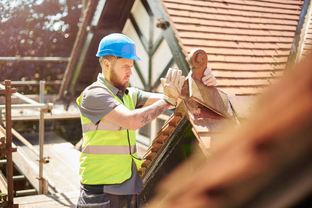 Best Roof Gutter Cleaning  in Village Shires, PA
